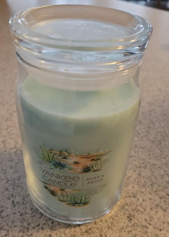 Yankee Candle Aloe & Agave Large 2-Wick Signature Jar Candle - Walmart.com