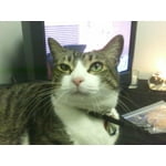 Image 6 of customer photos