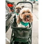 Image 3 of customer photos