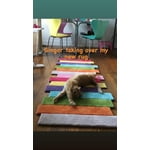 Image 2 of customer photos