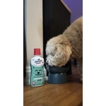 Image 6 of customer photos