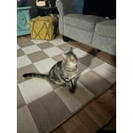 Image 6 of customer photos