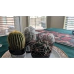 Image 1 of customer photos