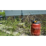 Image 6 of customer photos