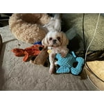 Image 4 of customer photos
