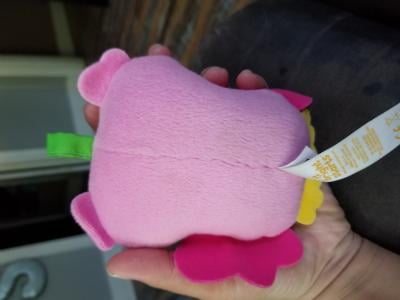 bright starts charming chirps activity gym