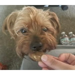 Image 6 of customer photos