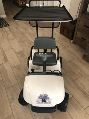 kid motorz golf cart battery charger