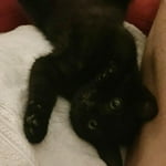 Image 6 of customer photos