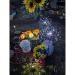 Image 6 of customer photos