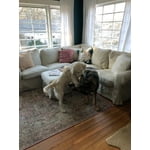 Image 3 of customer photos