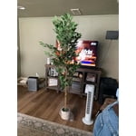 Image 5 of customer photos