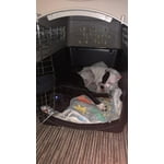 Image 6 of customer photos