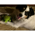 Image 5 of customer photos