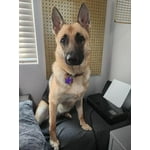 Image 2 of customer photos