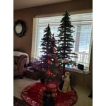 Image 1 of customer photos
