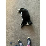 Image 3 of customer photos