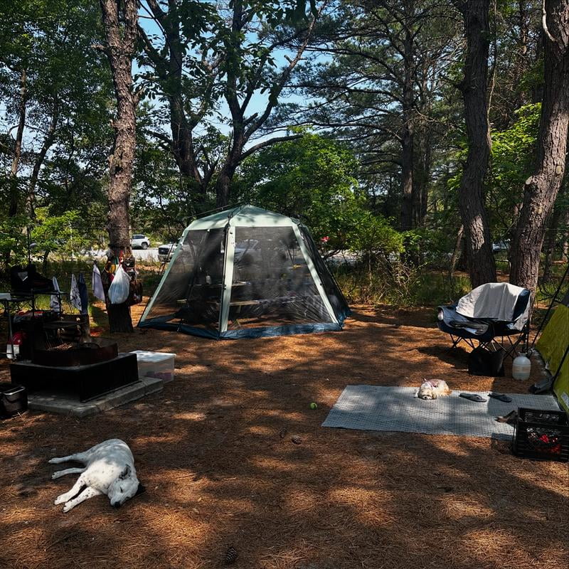 Coleman Skylodge™ 15 x 13 Instant Screen Canopy Tent - Walmart.com