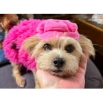 Image 4 of customer photos