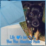 Image 3 of customer photos