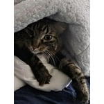 Image 6 of customer photos