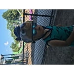 Image 3 of customer photos