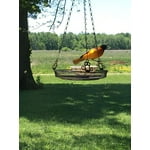 Image 8 of customer photos