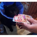 Image 6 of customer photos