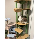 Image 5 of customer photos