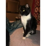 Image 2 of customer photos