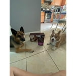 Image 5 of customer photos