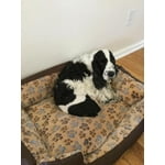 Image 1 of customer photos