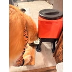 Image 3 of customer photos