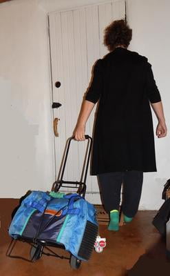 TravelKart Travel Luggage Cart Black