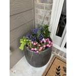 Image 8 of customer photos