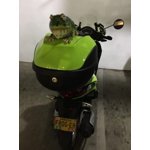 Image 1 of customer photos