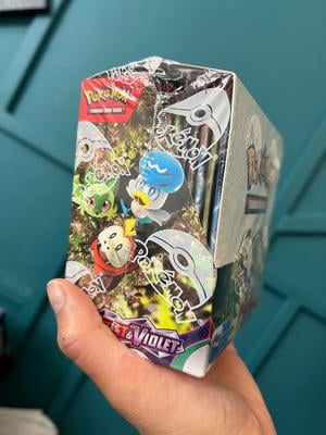 Pokémon Écarlate Et Violet : Découvrez Mashynn, Une Nouvelle Championne Arene Haute Couleur Et Compagnon Ampibidou 329592 2 Pokémon Écarlate Et Violet : Découvrez Mashynn, Une Nouvelle Championne Arene Haute Couleur Et Compagnon Ampibidou 329592 2