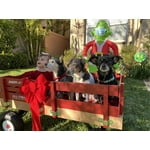 Image 4 of customer photos