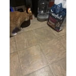 Image 7 of customer photos