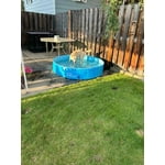 Image 4 of customer photos