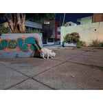 Imagen 1 de las fotos del cliente