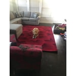 Image 1 of customer photos