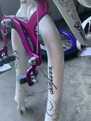 schwinn whiteboard bike