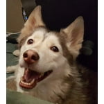 Image 5 of customer photos