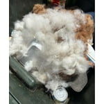 Image 1 of customer photos