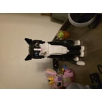 Image 2 of customer photos