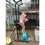 Image 2 of customer photos