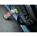 Image 6 of customer photos