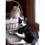 Image 3 of customer photos