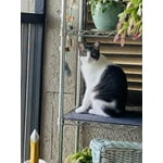 Image 7 of customer photos